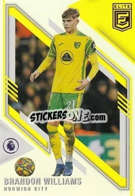 Sticker Brandon Williams - Donruss Elite Premier League 2021-2022
 n. 124 - Panini