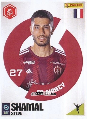 Figurina Steve Shamal