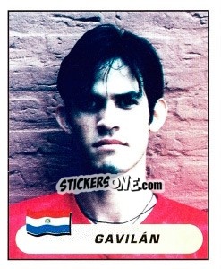 Sticker Diego Gavilán Zárate - Copa América. Colombia 2001 - Panini