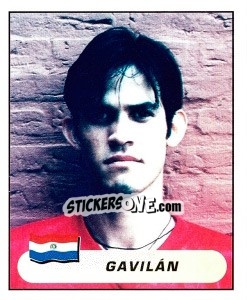 Cromo Diego Gavilán Zárate - Copa América. Colombia 2001 - Panini