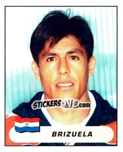 Cromo Hugo Rolando Brizuela Benítez - Copa América. Colombia 2001 - Panini