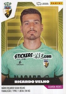 Sticker Ricardo Velho - Futebol 2023-2024
 - Panini