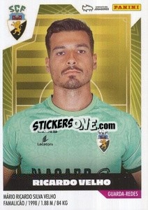 Sticker Ricardo Velho - Futebol 2023-2024
 n. 191 - Panini