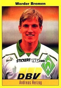 Cromo Andreas Herzog - German Football Bundesliga 1993-1994 - Panini