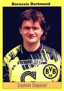 Cromo Stephane Chapuisat - German Football Bundesliga 1993-1994 - Panini