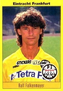 Cromo Ralf Falkenmayer - German Football Bundesliga 1993-1994 - Panini