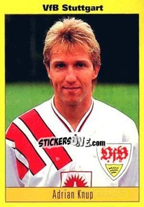 Sticker Adrian Knup - German Football Bundesliga 1993-1994 - Panini