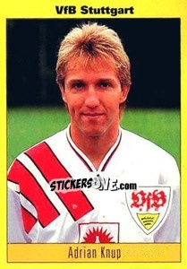 Sticker Adrian Knup - German Football Bundesliga 1993-1994 n. 121 - Panini