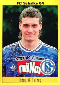 Cromo Hendrik Herzog - German Football Bundesliga 1993-1994 n. 140 - Panini