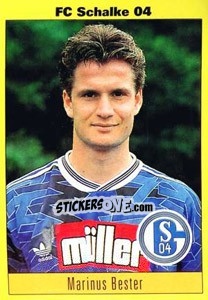 Sticker Marinus Bester - German Football Bundesliga 1993-1994 - Panini