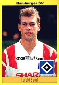 Cromo Harald Spörl - German Football Bundesliga 1993-1994 - Panini