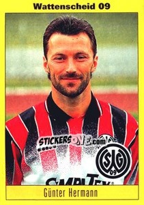 Sticker Günter Hermann - German Football Bundesliga 1993-1994 n. 210 - Panini