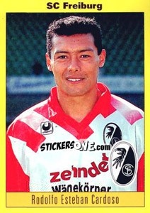 Cromo Rodolfo Esteban Cardoso - German Football Bundesliga 1993-1994 n. 223 - Panini