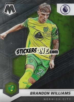 Sticker Brandon Williams - Premier League 2021-2022 Mosaic
 n. 93 - Panini