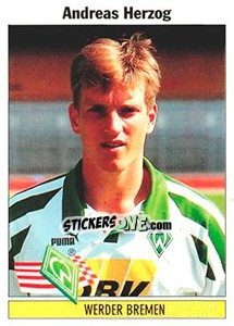Cromo Andreas Herzog - German Football Bundesliga 1994-1995 - Panini