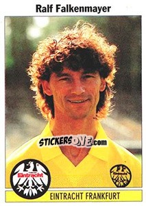 Cromo Ralf Falkenmayer - German Football Bundesliga 1994-1995 - Panini