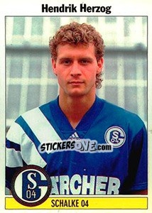 Sticker Hendrik Herzog - German Football Bundesliga 1994-1995 - Panini