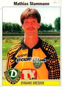 Cromo Mathias Stammann - German Football Bundesliga 1994-1995 - Panini
