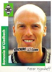 Cromo Peter Wynhoff - German Football Bundesliga 1995-1996 - Panini
