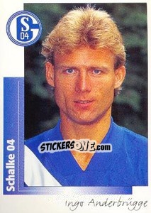 Sticker Ingo Anderbrügge - German Football Bundesliga 1995-1996 - Panini