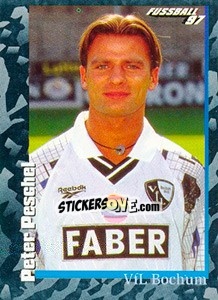 Sticker Peter Peschel - German Football Bundesliga 1996-1997 - Panini
