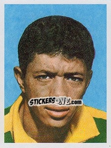 Sticker Amarildo - Brasil de Todas as Copas n. 47 - Panini