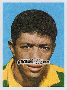 Sticker Amarildo - Brasil de Todas as Copas - Panini