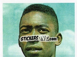 Sticker Entre Os Feitos Do Rei - Brasil de Todas as Copas n. 66 - Panini