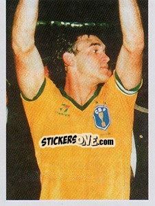 Sticker Tetra em 1989 - Brasil de Todas as Copas n. 220 - Panini