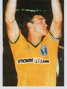 Cromo Tetra em 1989 - Brasil de Todas as Copas - Panini