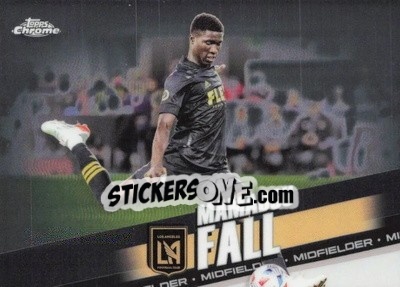 Sticker Mamadou Fall