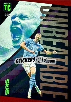 Sticker Erling Haaland - Top Class 2024
 n. 262rh - Panini