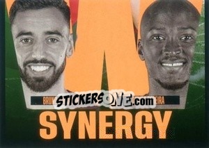 Sticker Synergy - FIFA World Class 2024
 n. P28 - Panini