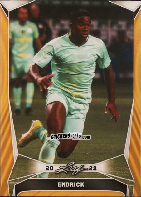 Sticker Endrick - Soccer 2023
 n. B3g - Leaf
