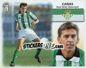 Sticker Cañas