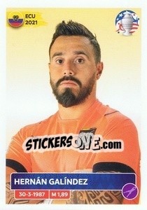 Sticker Hernán Galíndez - CONMEBOL Copa América 2024. US Edition n. ECU4 - Panini