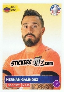 Sticker Hernán Galíndez - CONMEBOL Copa América 2024. US Edition - Panini