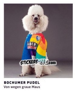 Sticker Bochumer Pudel - 11 Freunde - Fussball Klassiker - Juststickit