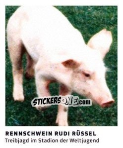 Figurina Rennschwein Rudi Rüssel - 11 Freunde - Fussball Klassiker - Juststickit