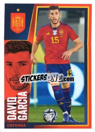 Sticker David Garcia - Carrefour ¡Vamos Selección!
 n. 14 - Panini