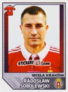 Sticker Sobolewski - Ekstraklasa 2012-2013 n. 313 - Panini