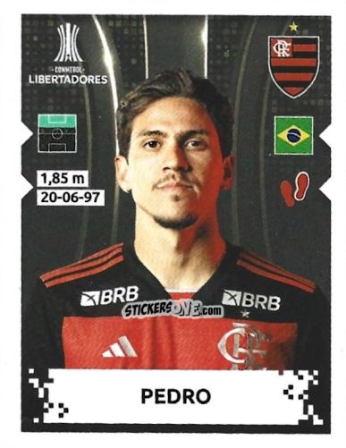 Sticker Pedro - Conmebol Copa Libertadores 2024 n. 112 - Panini