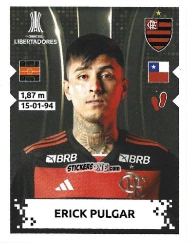 Cromo Erick Pulgar - Conmebol Copa Libertadores 2024 n. 106 - Panini