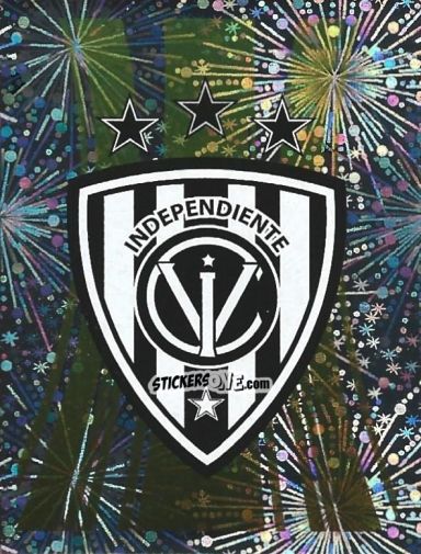 Figurina Team Logo - Conmebol Copa Libertadores 2024 n. 369 - Panini