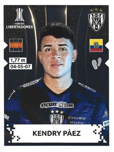 Cromo Kendry Paez - Conmebol Copa Libertadores 2024 n. 379 - Panini