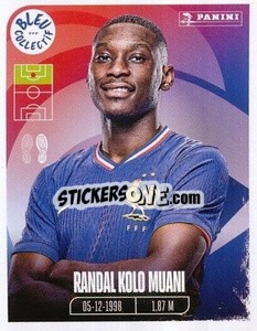 Sticker Randal Kolo Muani - Portrait -  FFF Tournament Edition 2024
 n. 122 - Panini