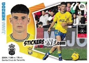 Cromo Juanma Herzog (9) - LaLiga 2024-2025
 n. 289 - Colecciones ESTE