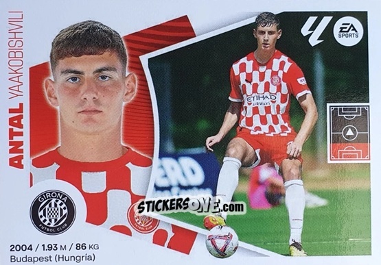 Sticker Antal Yaakobishvili (11BIS)