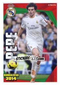 Figurina Pepe - Real Madrid 2013-2014 - Panini