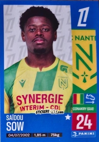 Figurina Joueur Transfert 25 - Foot 2024-2025
 n. T25 - Panini